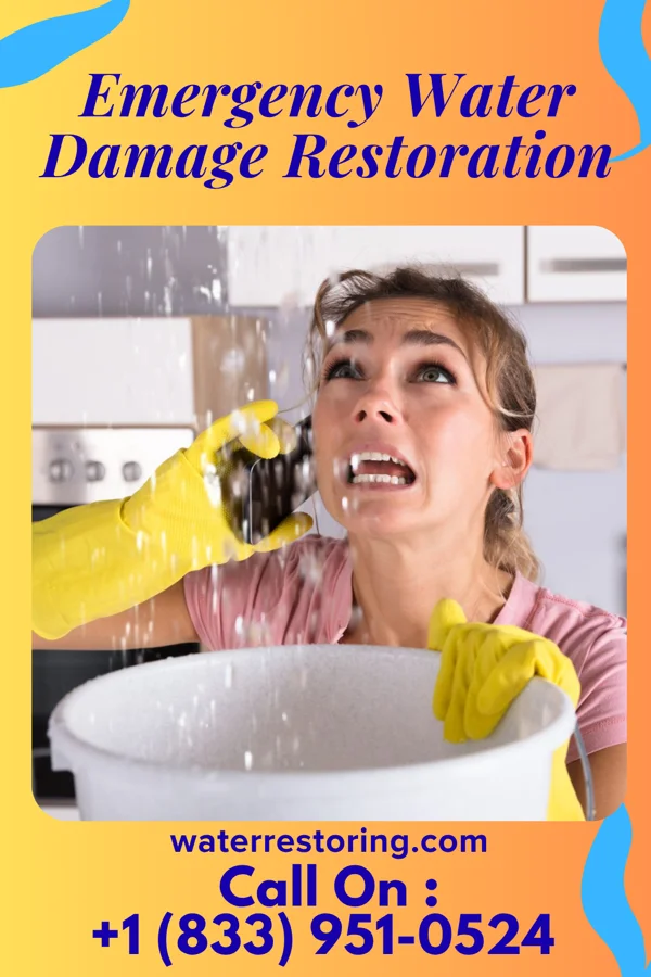 Emergency Water Damage Restoration in Buchanan, MI