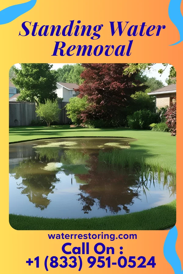 Standing Water Removal in Buchanan, MI